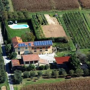 Il Chicco D'oro Massarosa
